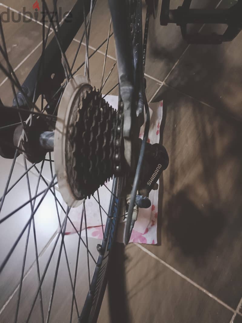 Trinx tempo 1.4 2