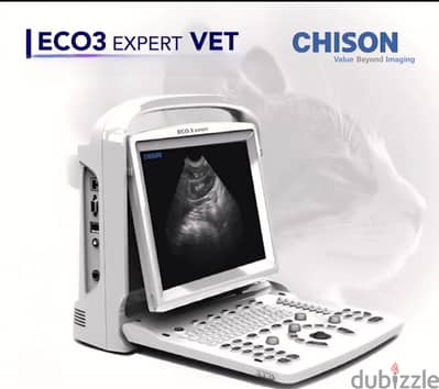 VETRAINARY  ULTRASOUND