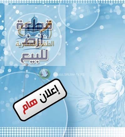 ارض مميزه للبيع النرجس الجديده خطوات من محور محمد نجيب