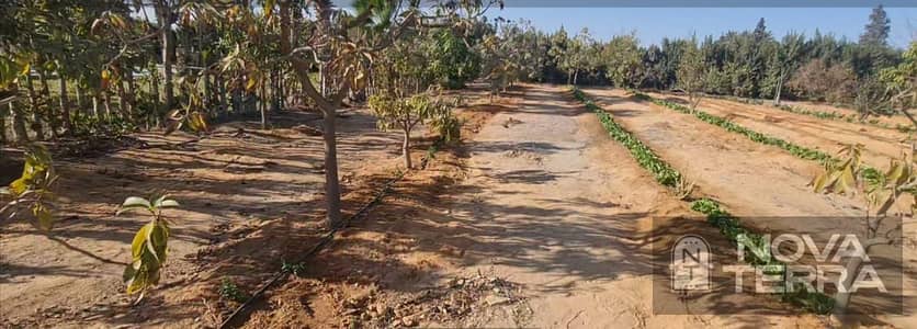 Land for Sale Near Sphinx International Airport
