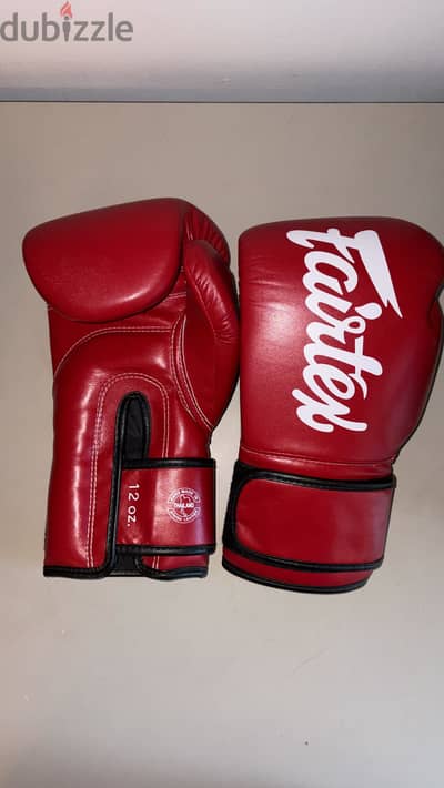 Fairtex bgv14