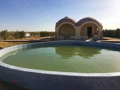 للبيع مزرعه 15 فدان