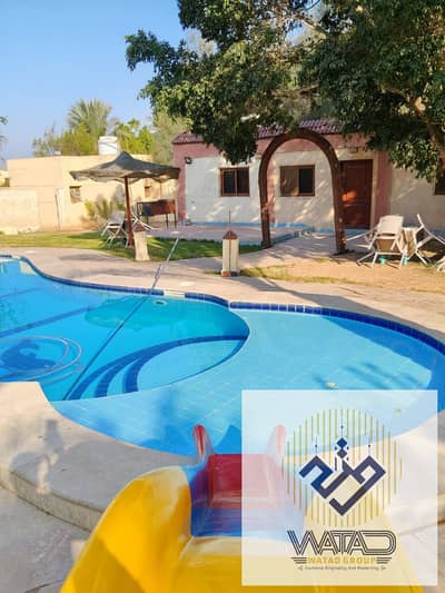 طريق اسكندريه الصحراوي