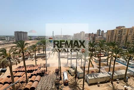 Apartment for Sale – El Montazah (Royal Plaza)
