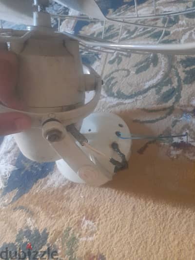مروحة سقف توشيبا محتاجة جلب