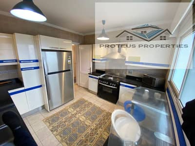 luxury furnished apartment for rent in madinty