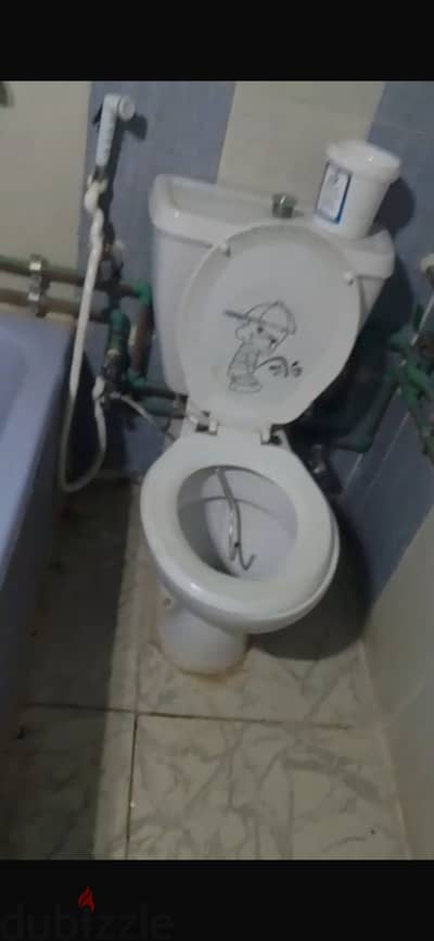 قاعده بالحوض