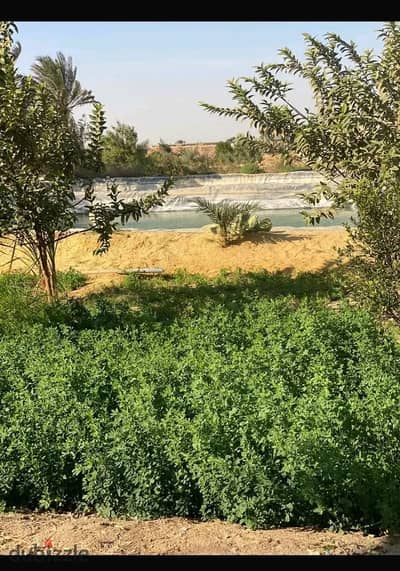 Own your land in an excellent strategic location with comprehensive services just minutes from Cairo!