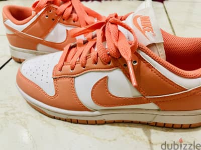 Nike dunk low retro