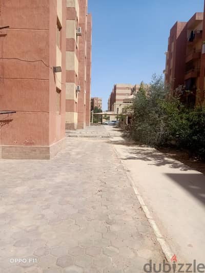 شقة في مدينة بدر