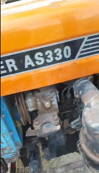 الاسكندريه العامريه