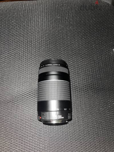 Canon lens 75-300