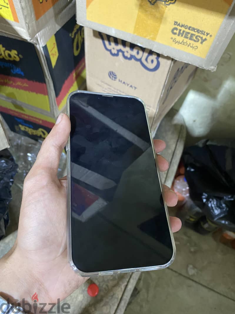 Apple - iPhone 13 Pro Max 1
