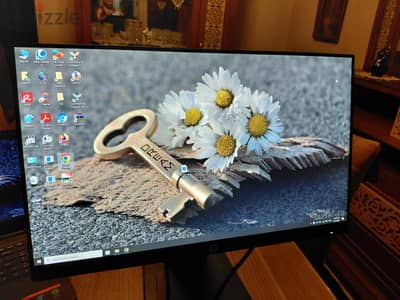 شاشه  Hp  ٢٤ بوصه  فريملس 75  هرتز بسماعات داخليه