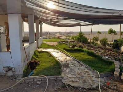فرصة استثمار مميزه