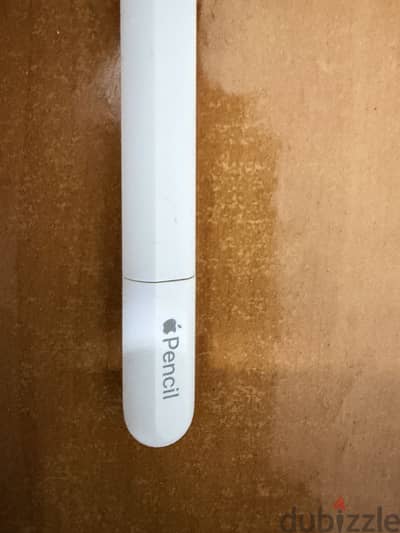 Apple Pencil (USB-C)