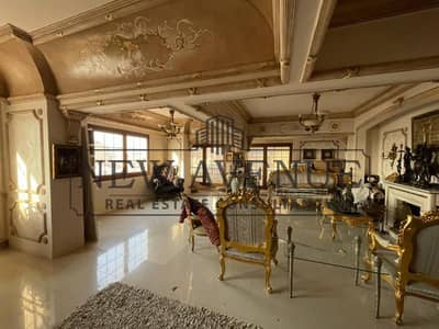 Ready to Move Apartment in Korba Heliopolis | Fully Finished | Open View