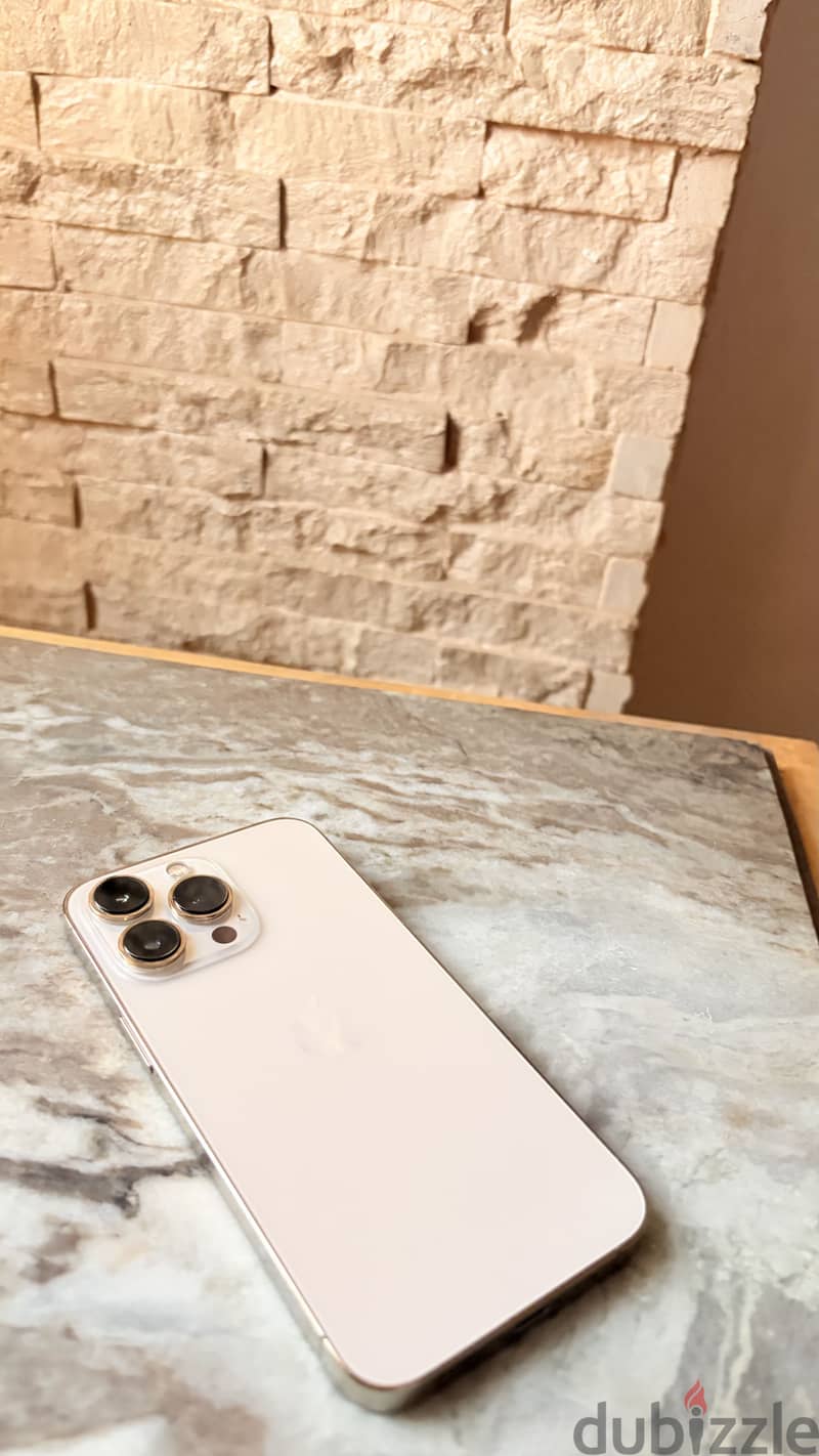 Apple - iPhone 13 Pro 1