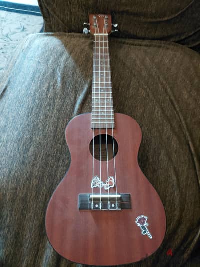 Electric / acoustic chard ukulele with bag