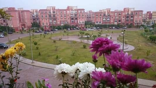 Fully Furnished Apartment -  شقة مفروشة للإيجار