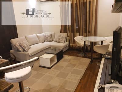 Best Price Furnished Roof Studio for Rent Opposite Cairo Festival City New Cairo 60 sqm with Private Roof