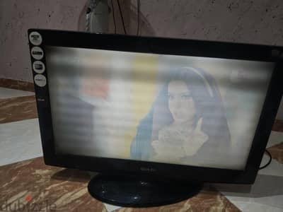 شاشه جولدى