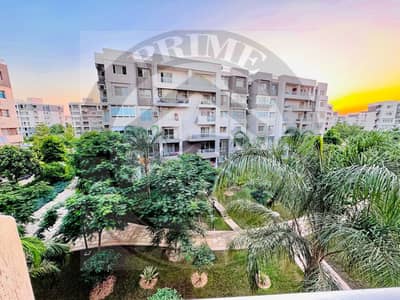 Fully Furnished 3BR Apartment for Rent in Madinaty B10 with Wide Garden View