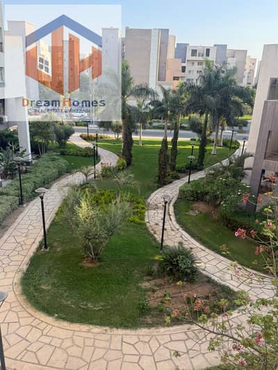 Opportunity for rent – Apartment 244m New Law  b8