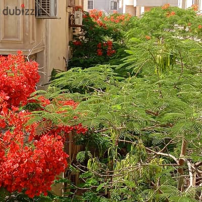 بيزمنت للايجار 500م يصلح مخزن بمدخل خاص ورمب بالتجمع الخامس