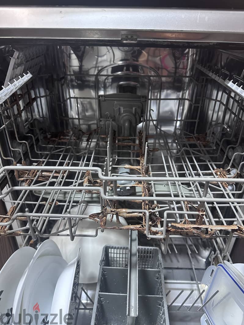 Fresh dishwasher sliver 3