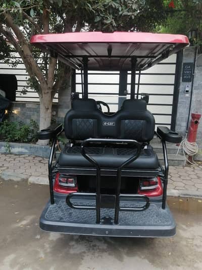 ECar monster 2+2 maron
