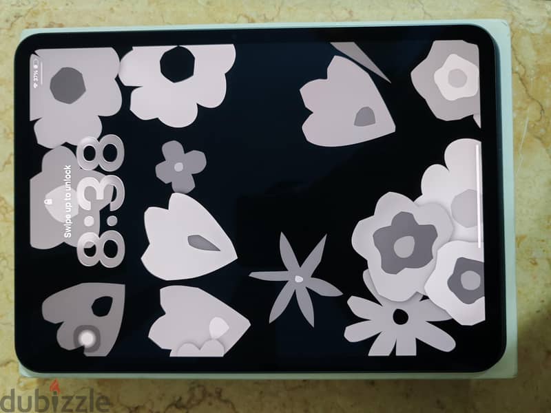 ipad pro m5 11 inch wifi only 1