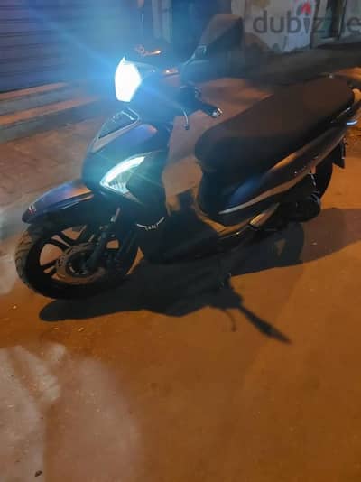vigory st plus 2023