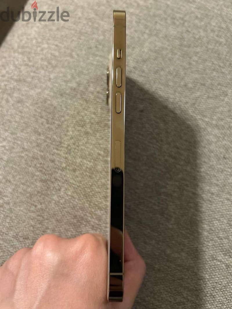 Apple - iPhone 12 Pro Max 1