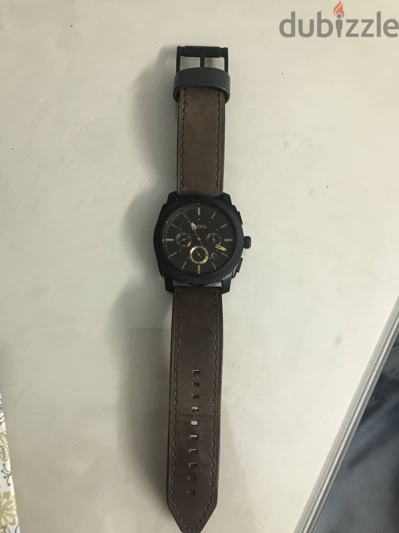 Original fossil 1