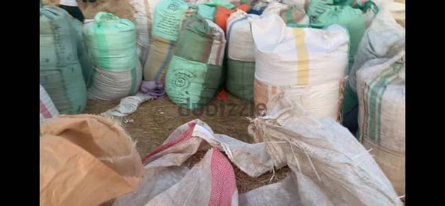تبن قمح للبيع