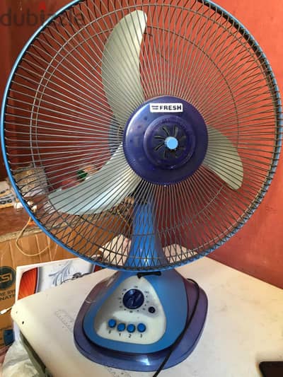 مروحه مكتب فريش