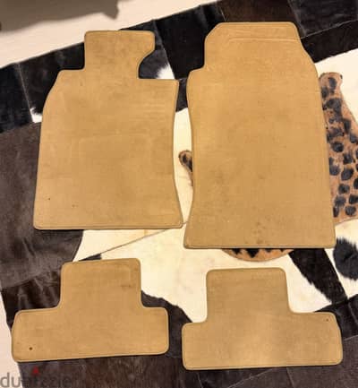 داواسات مينى كوير