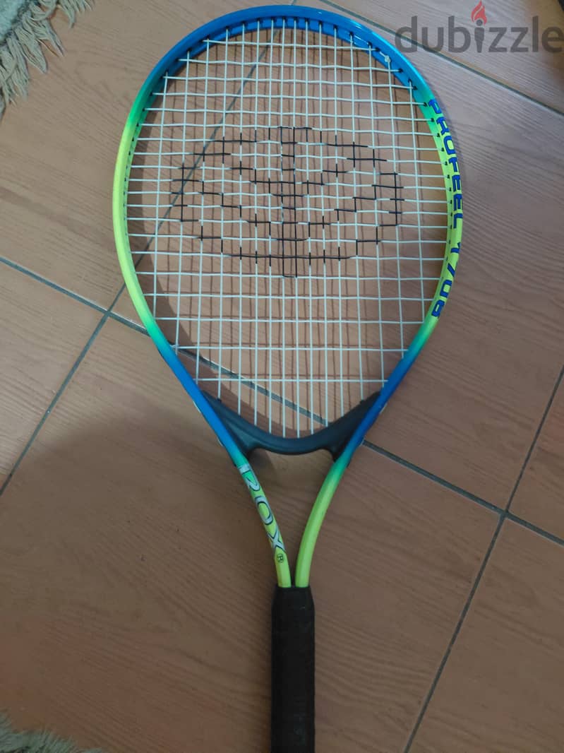 Rox Profeel 1