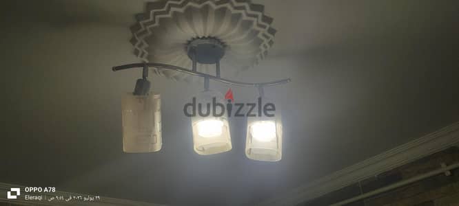 نجف و دلايات