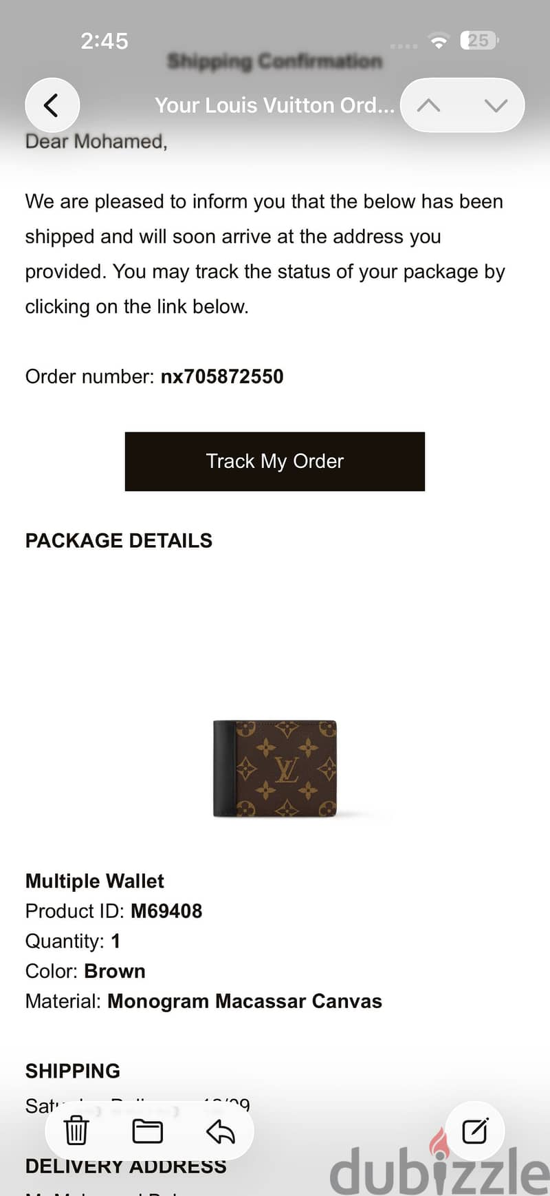 Louis Vuitton Monogram Macassar Canvas 6