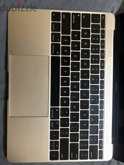 MacBook - gold - 8/256 - like new
