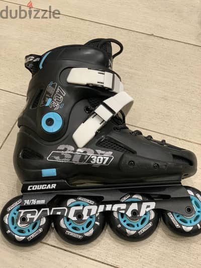 Skate shoes (Cougar 307)