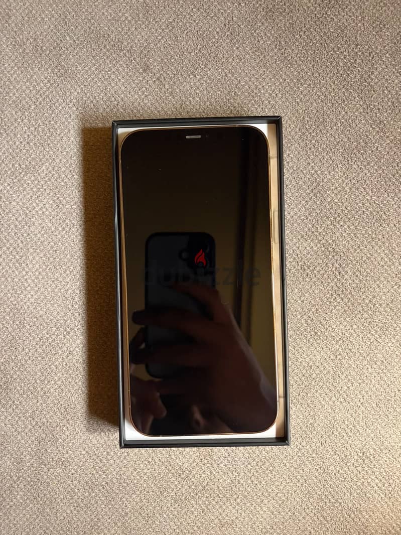 Apple - iPhone 12 Pro Max 2