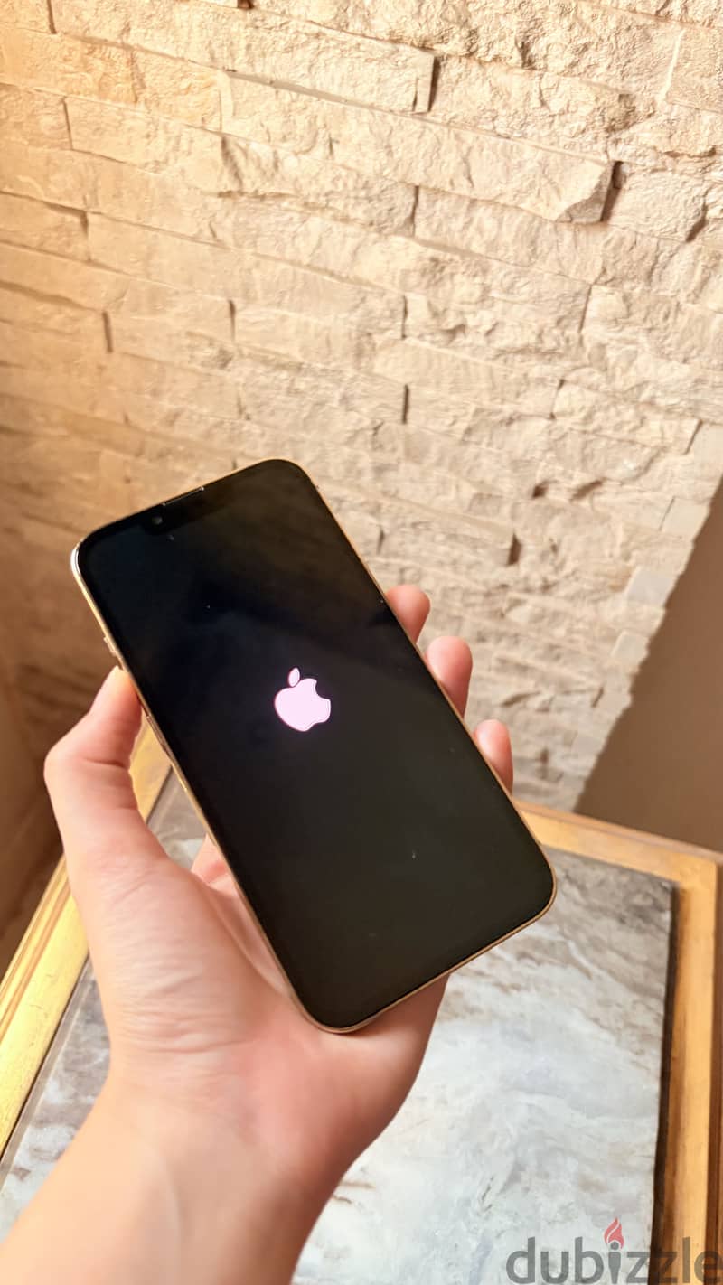 Apple - iPhone 13 Pro 6