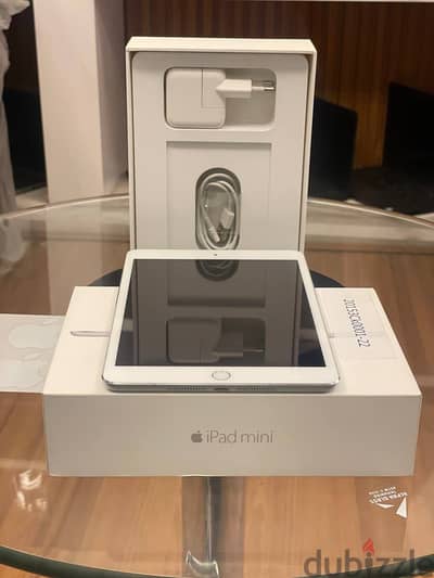 iPad mini 3