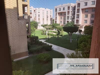 شقه مفروش مميزه للايجار في مدينه الرحاب القاهره الجديده new cairo el rehab city