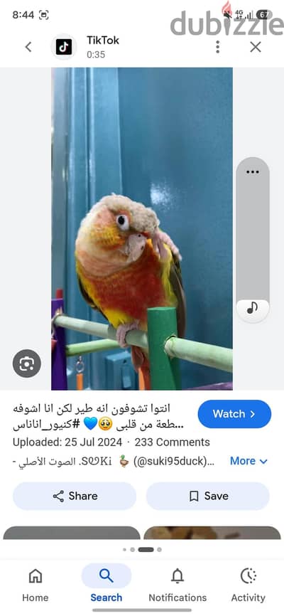 متاح بينابول كنيور شغال في تحاليل وي مشتملات بيكلوة جميع انواع اكل