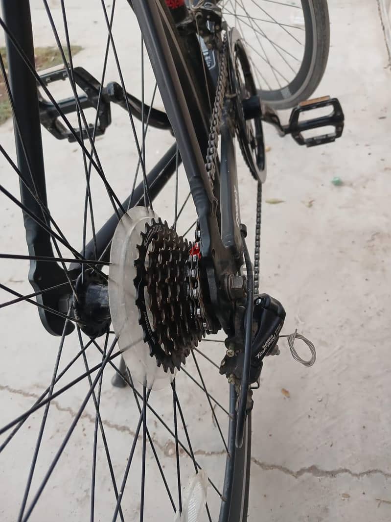 trinx tempo 1.4 6
