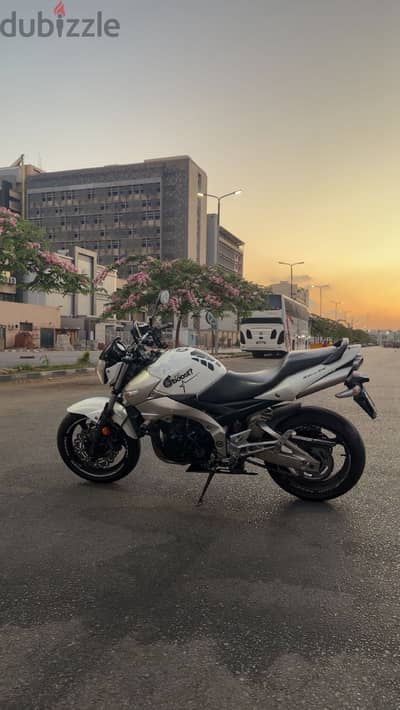 Suzuki baby king 600